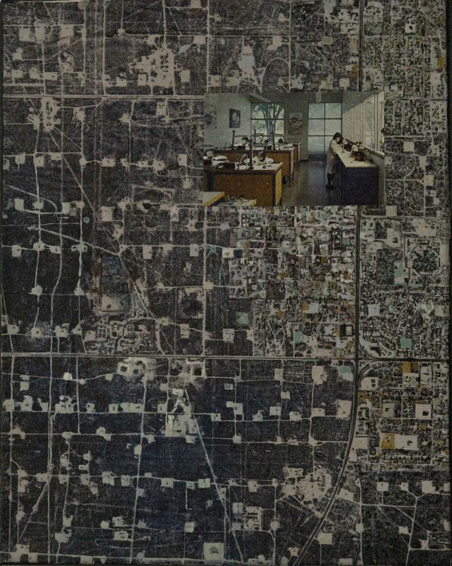 night_circuit_5.jpg