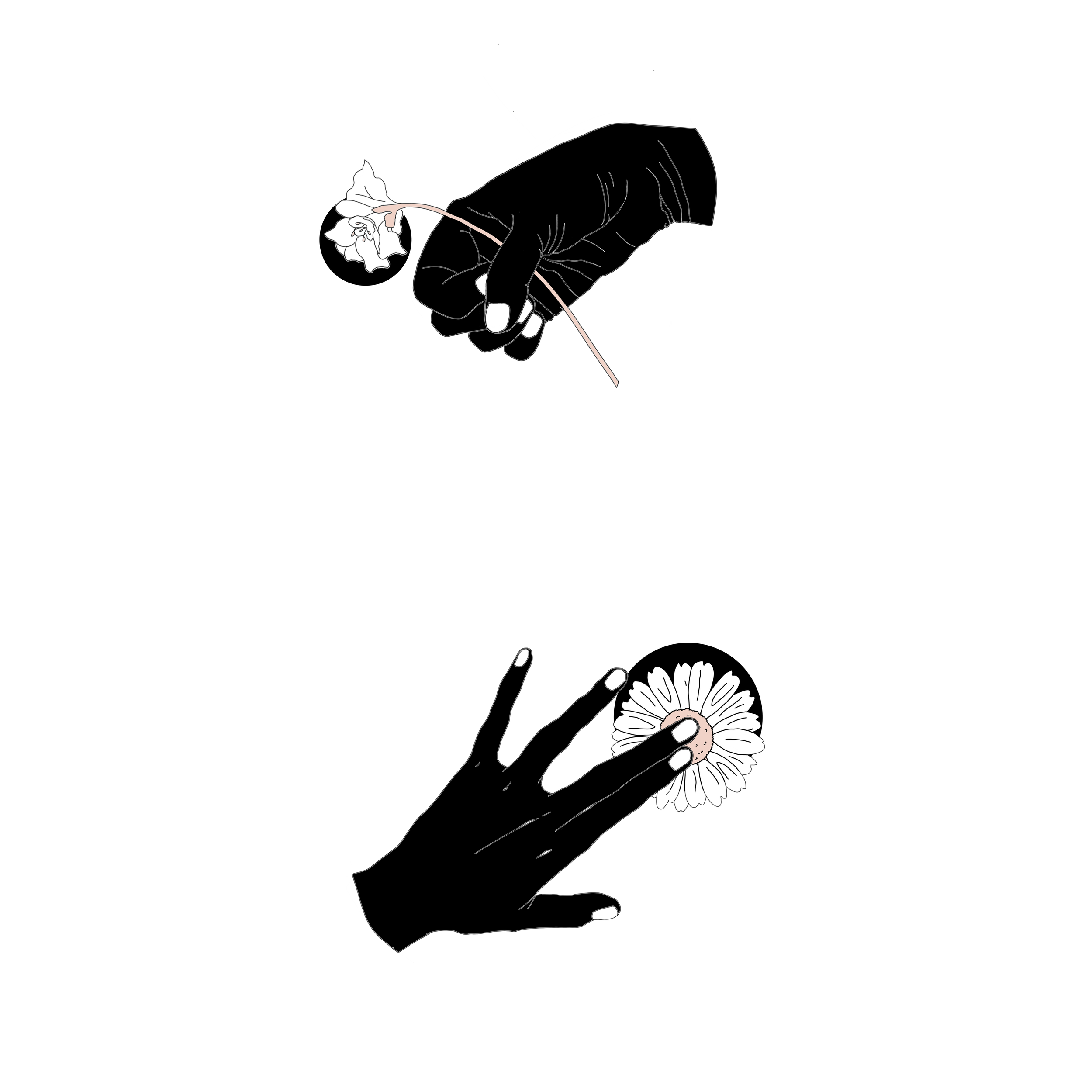 m1.png