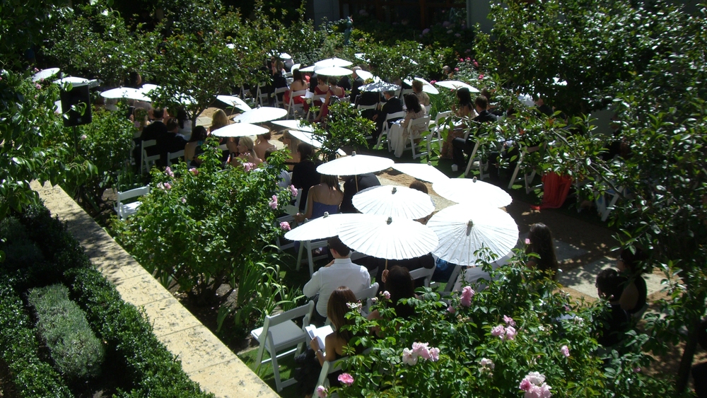 SG imageLong garden guests CIMG1893.JPG