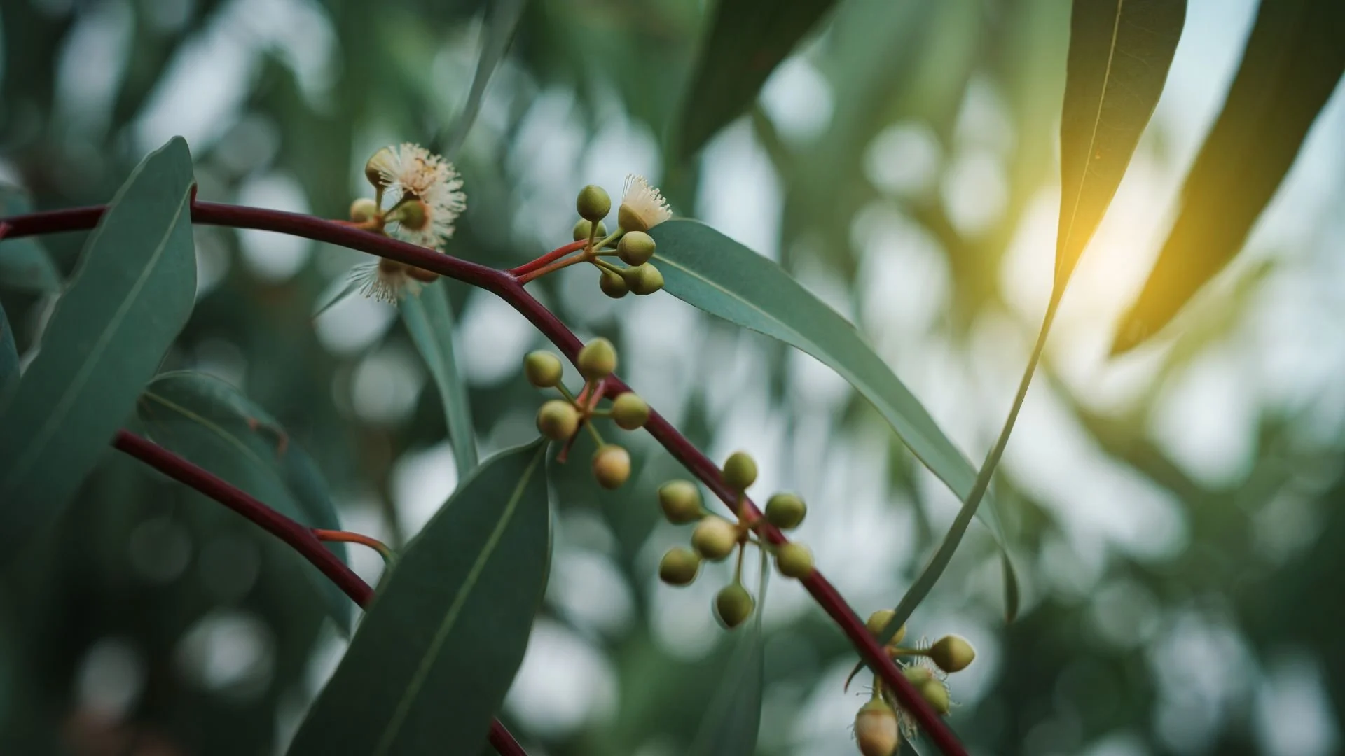 GCC Family Camp (1).jpg