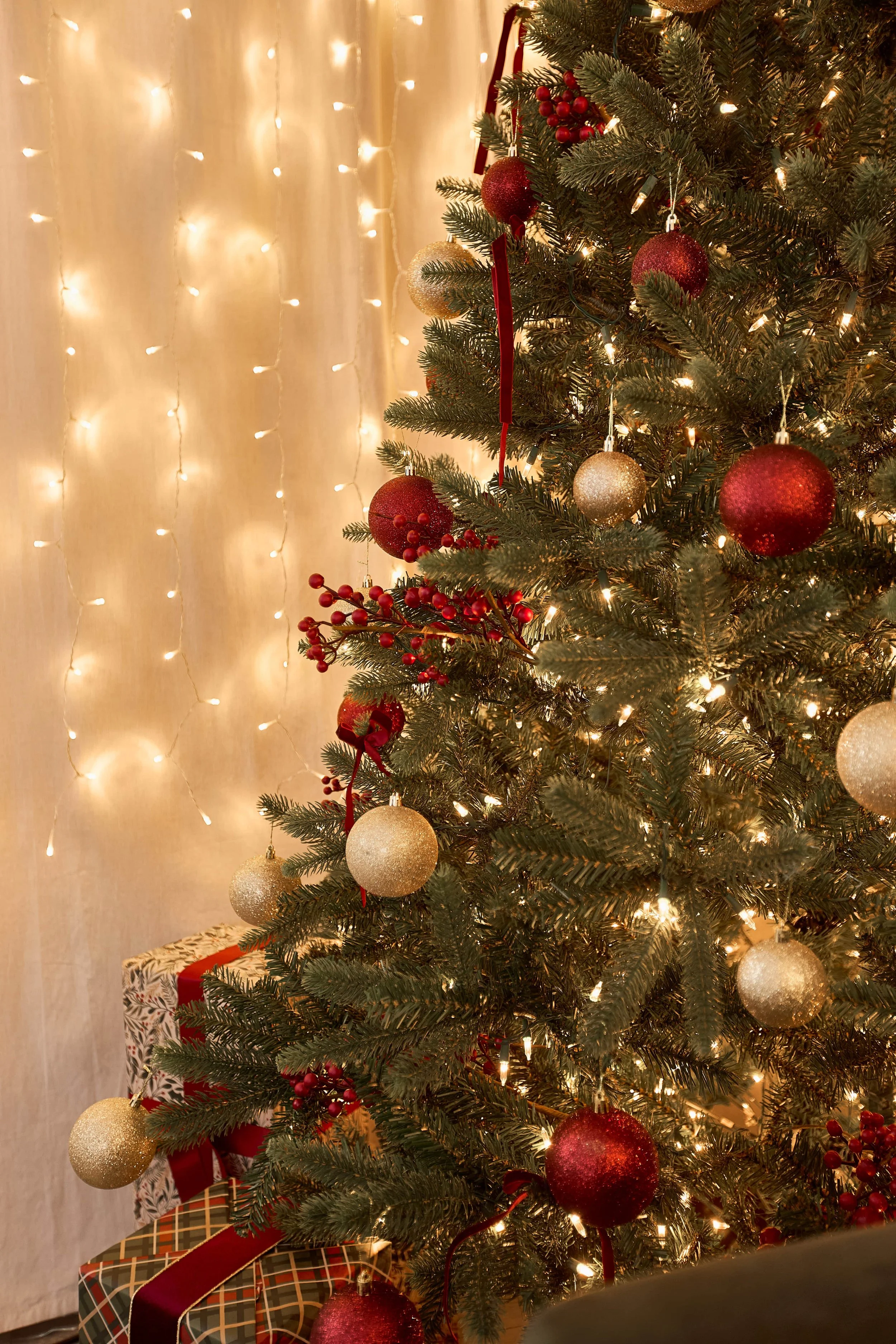 cranberryxmas00004.jpg