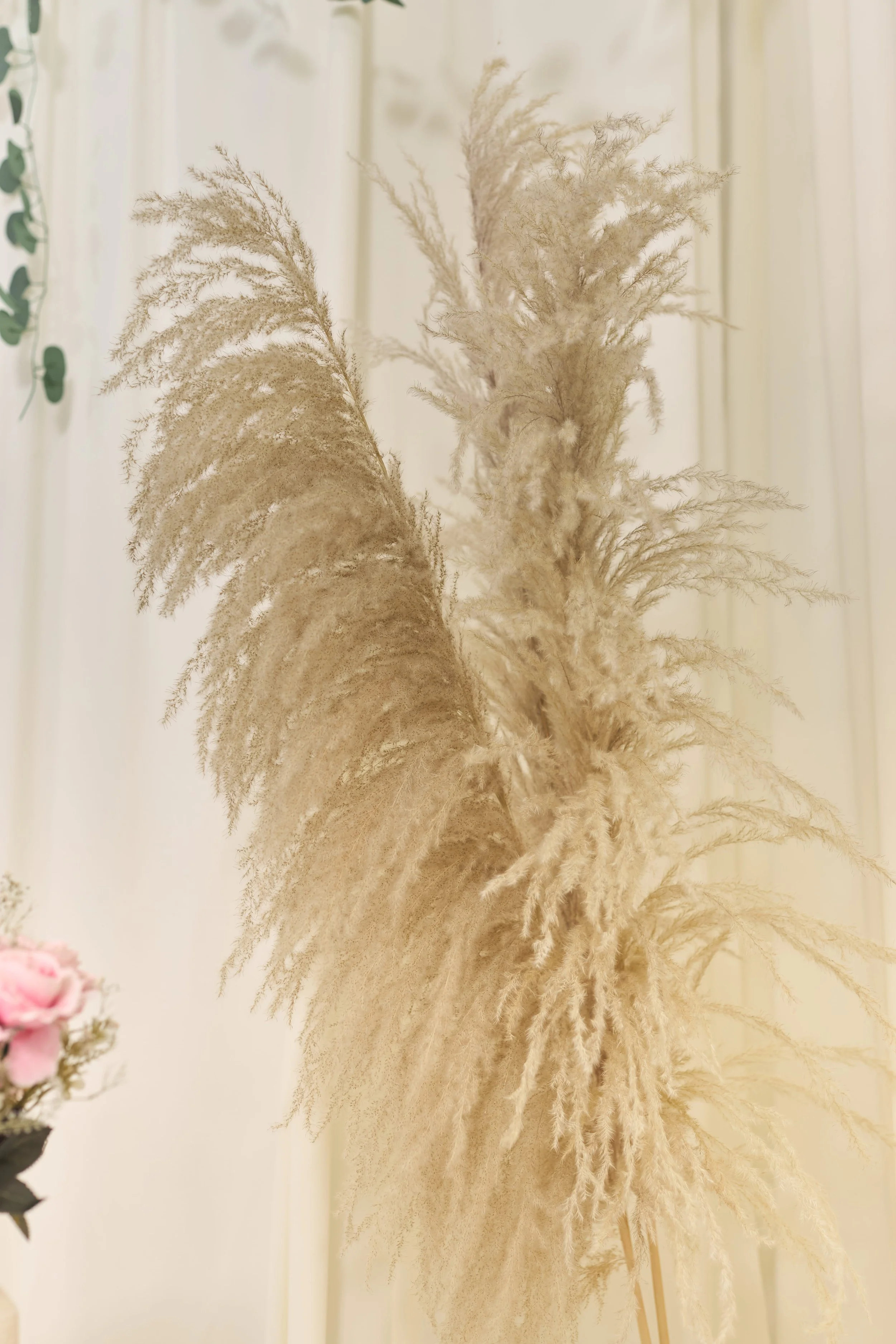 MADRES SCANDi0799.jpg