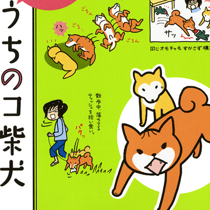 うちのコ柴犬.jpg