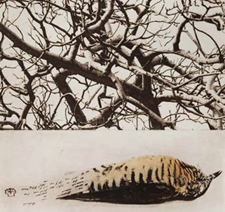 byron school of art christine willcocks printmaking.jpg