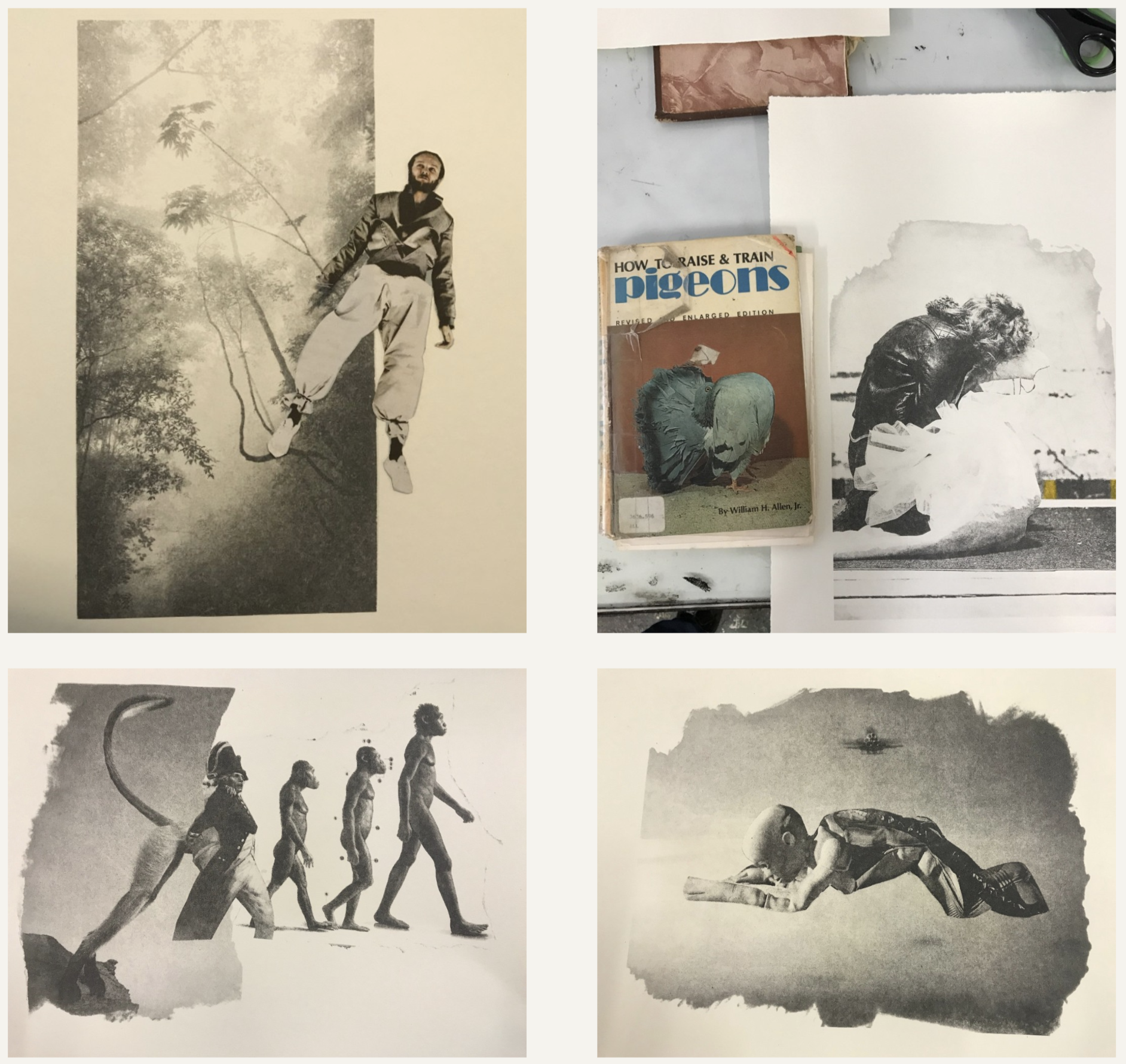 Transfers from taster 18.png