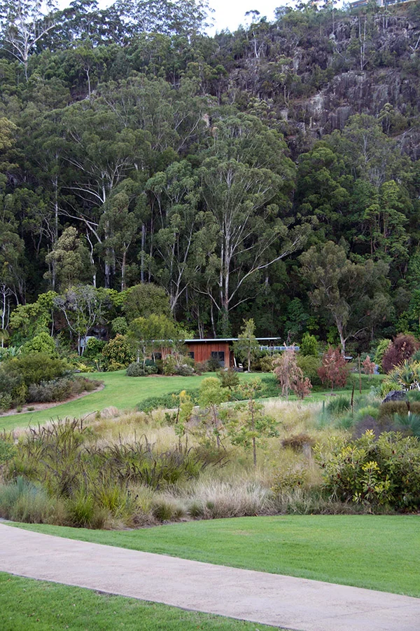 Residency_cabin_long_view web.jpg