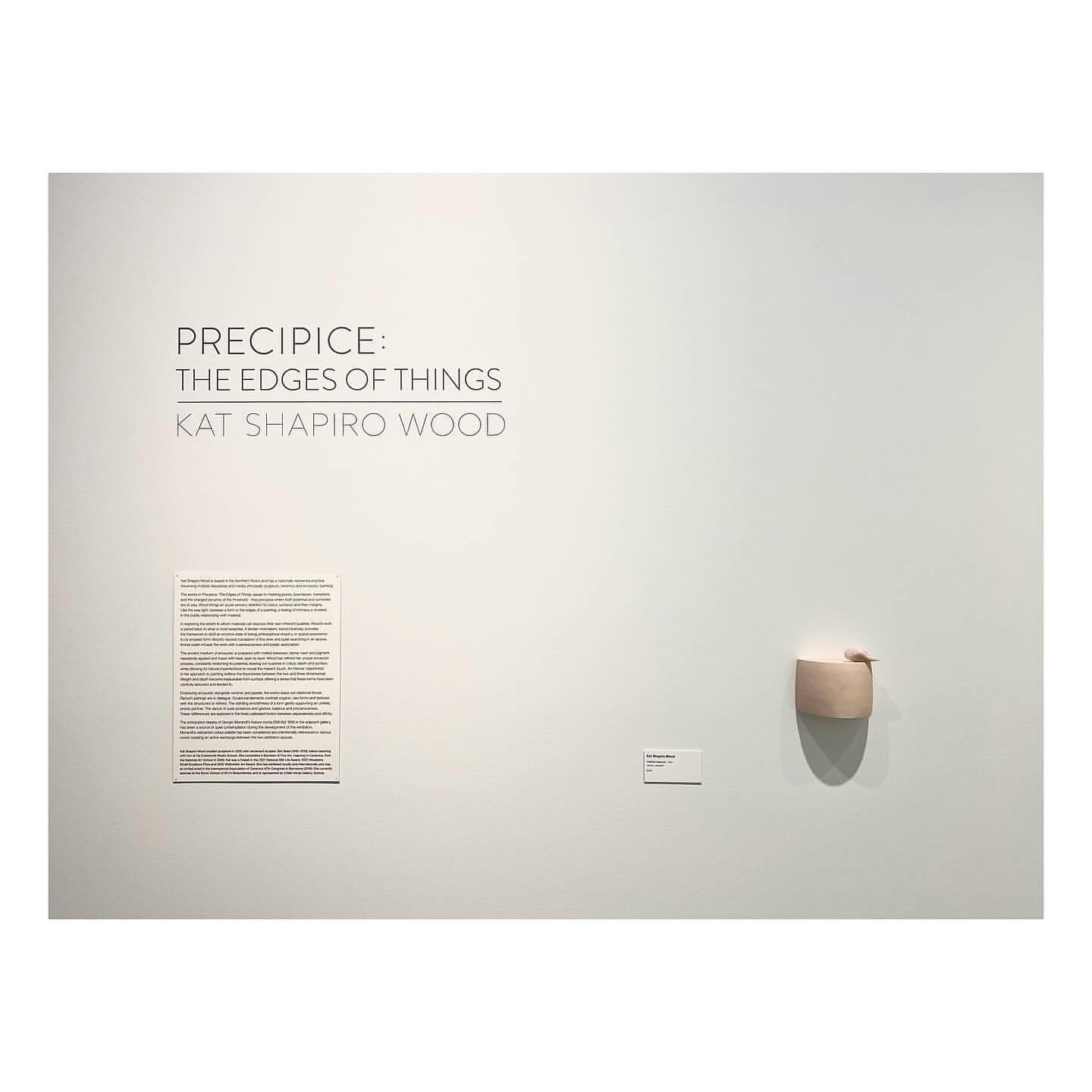 This Saturday @tweedregionalgallery Kat Shapiro Wood will be in conversation with Amber Wallis as they explore Kat&rsquo;s practice and her exhibition, &ldquo;Precipice: The Edges of Things.&rdquo;

When: Sunday, May 12th, 2024

Time: 2:00 pm - 3:00 