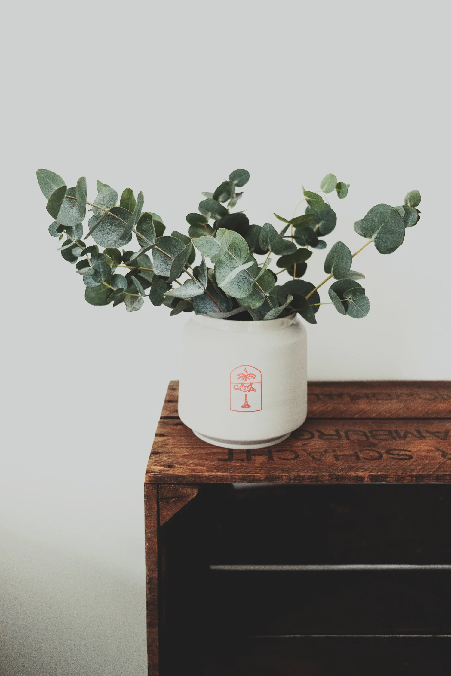 LittleBigHouse-PotPlant-Painting-AdamBusby.jpg