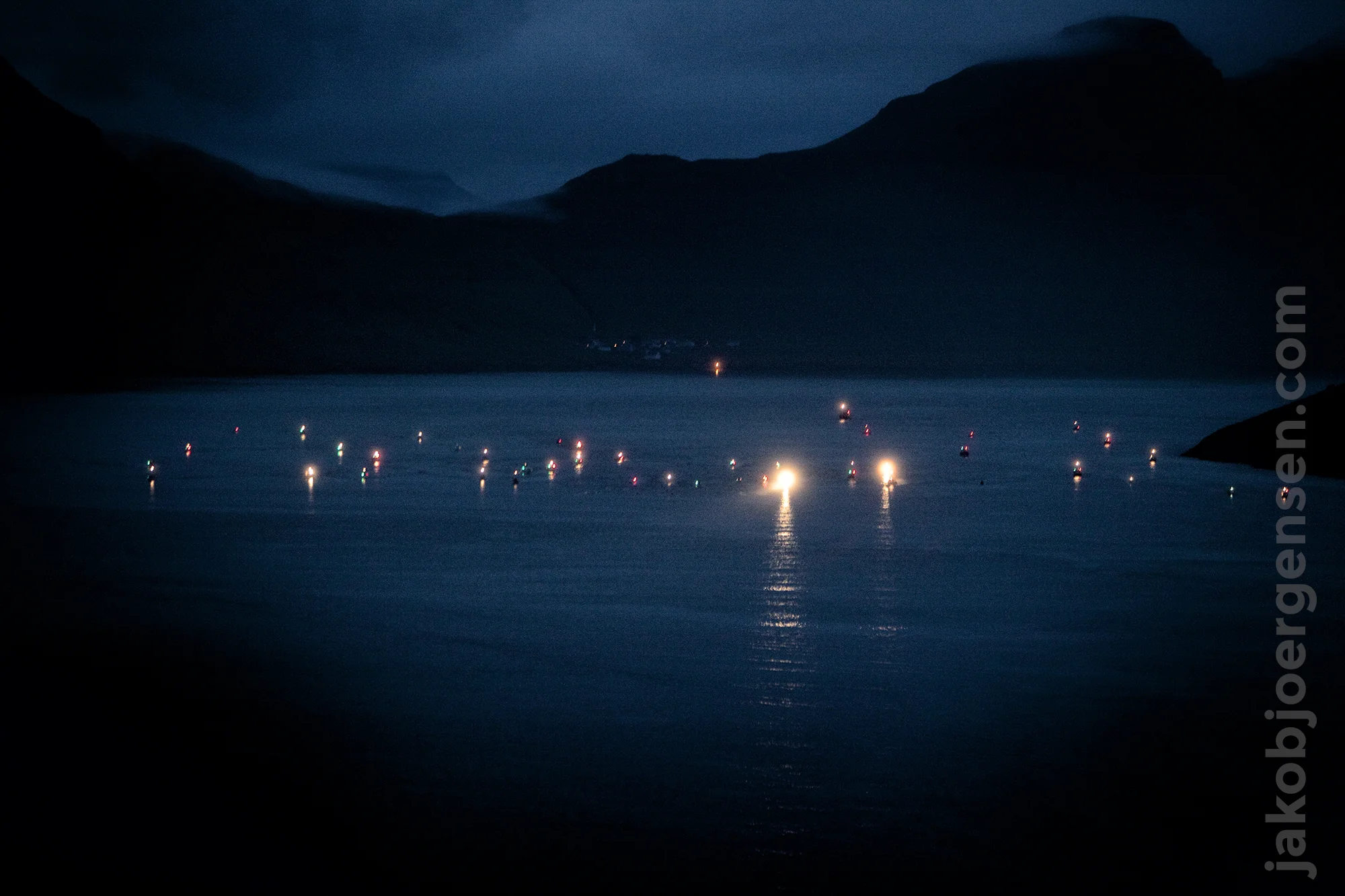 Pilot Whaling in Klaksvik on the Faroe Islands in the Summer of 2010.
