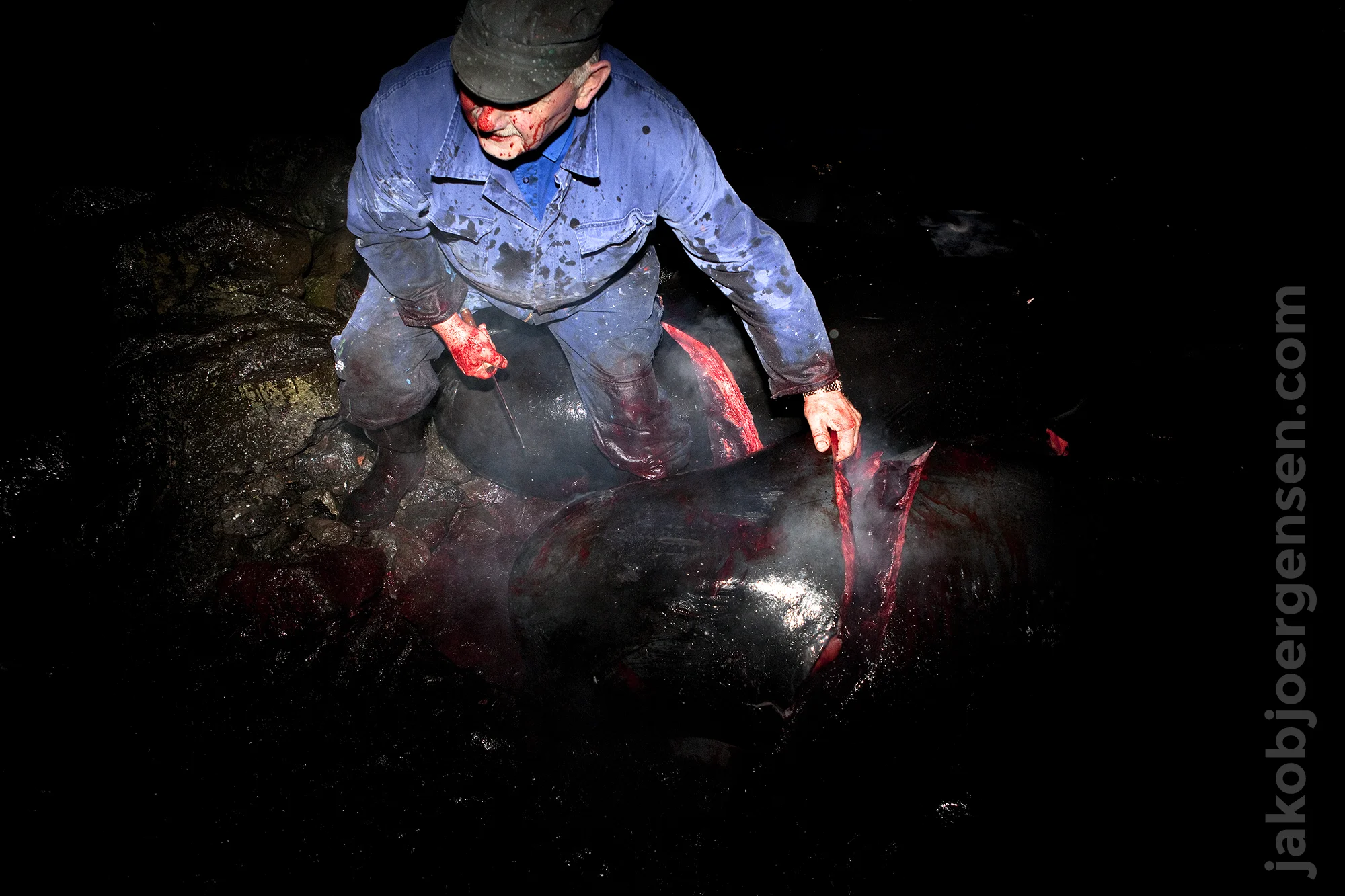 The meat and blubber is shared in the local community.