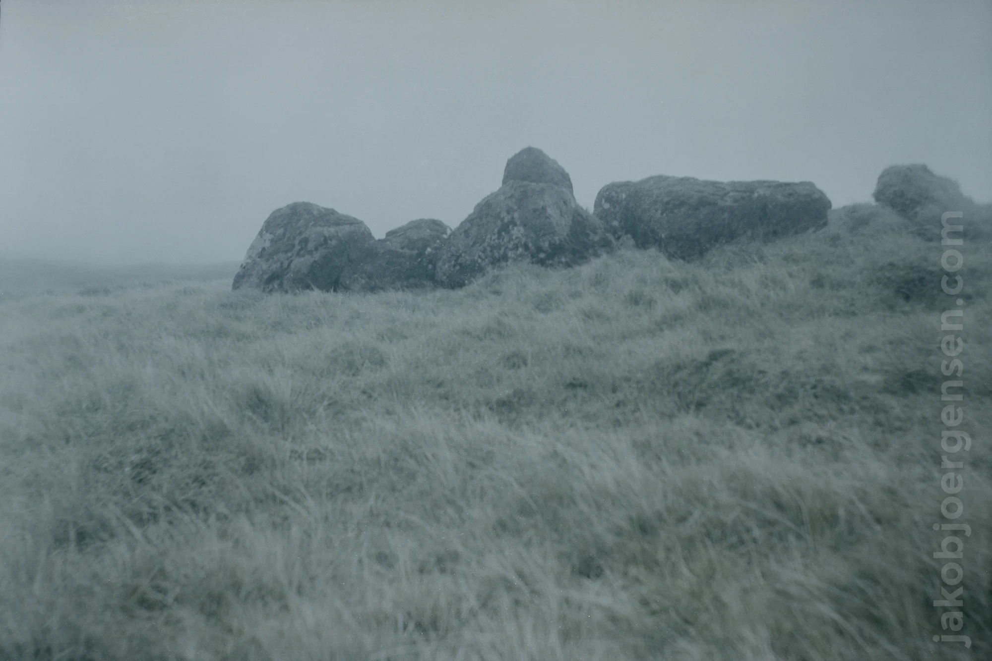 Film03-01_CROP.jpg