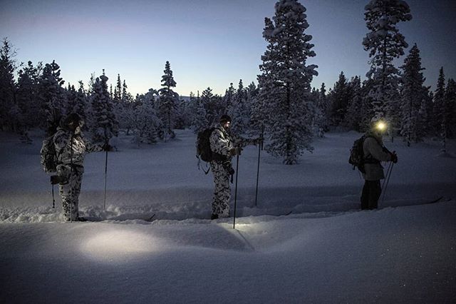 You have 4 hours and 12 minutes from #sunrise to #sunset in #swedishlapland during the #winter 
The days are short and even when the sun is up it is not always bright

#hunt arranged by @nordguide.se
#reportage for @jagtvildtogvaaben

#capercaillie #