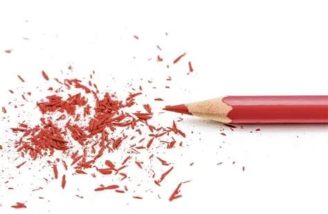 De bestuurbaarheid van Nederland