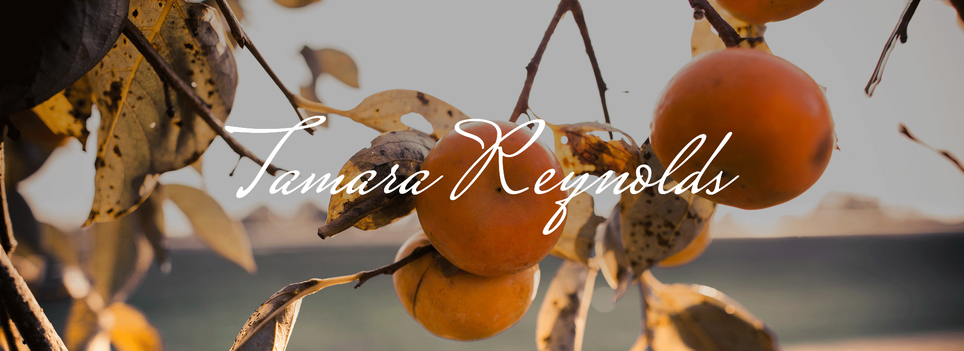 tamara_reynolds_header.gif