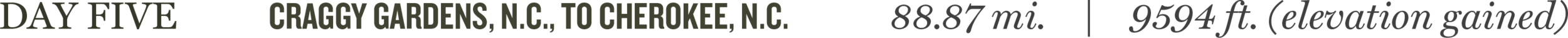 thin_data5.png