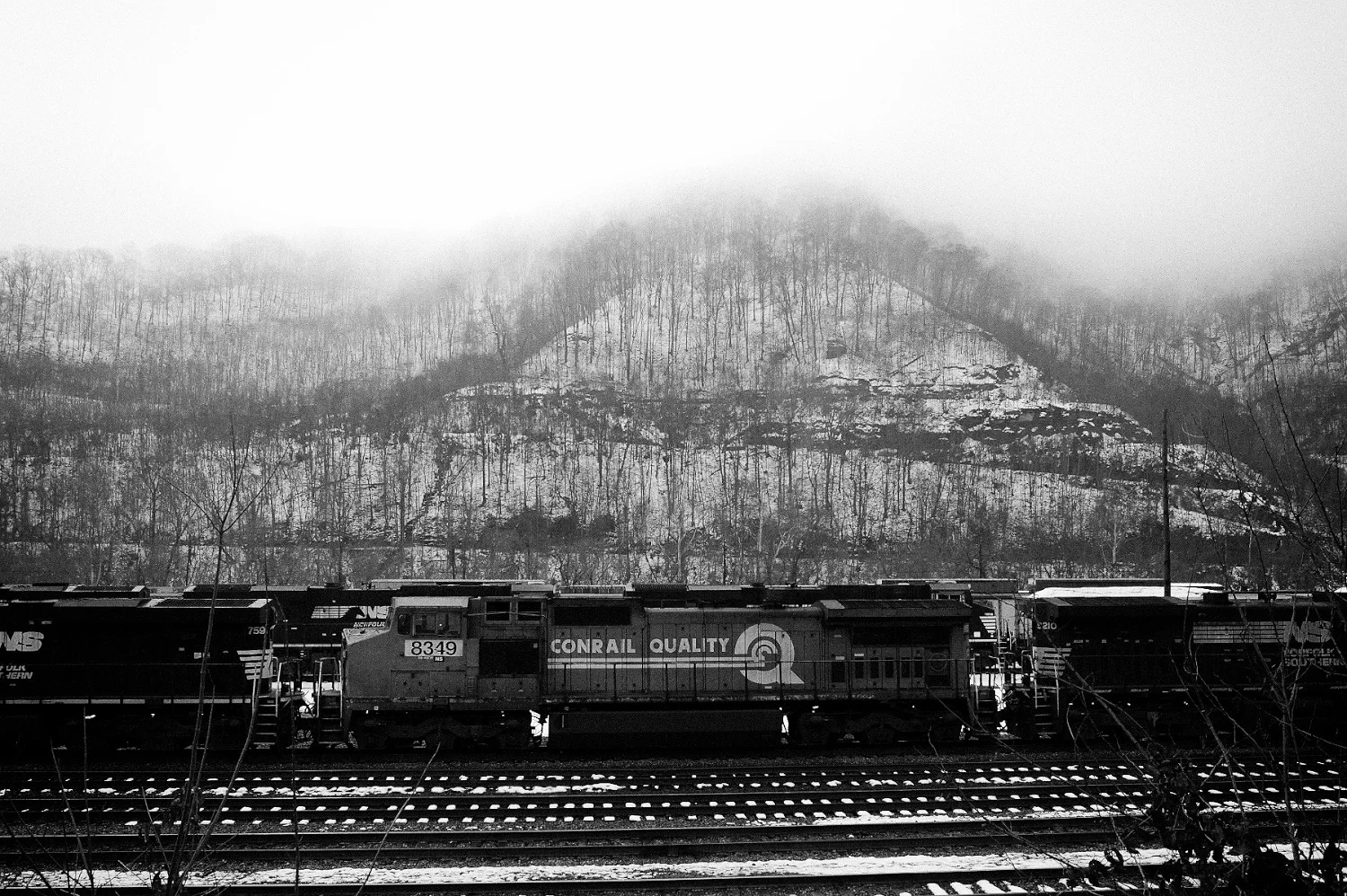 Trip_Erin-2063.jpg