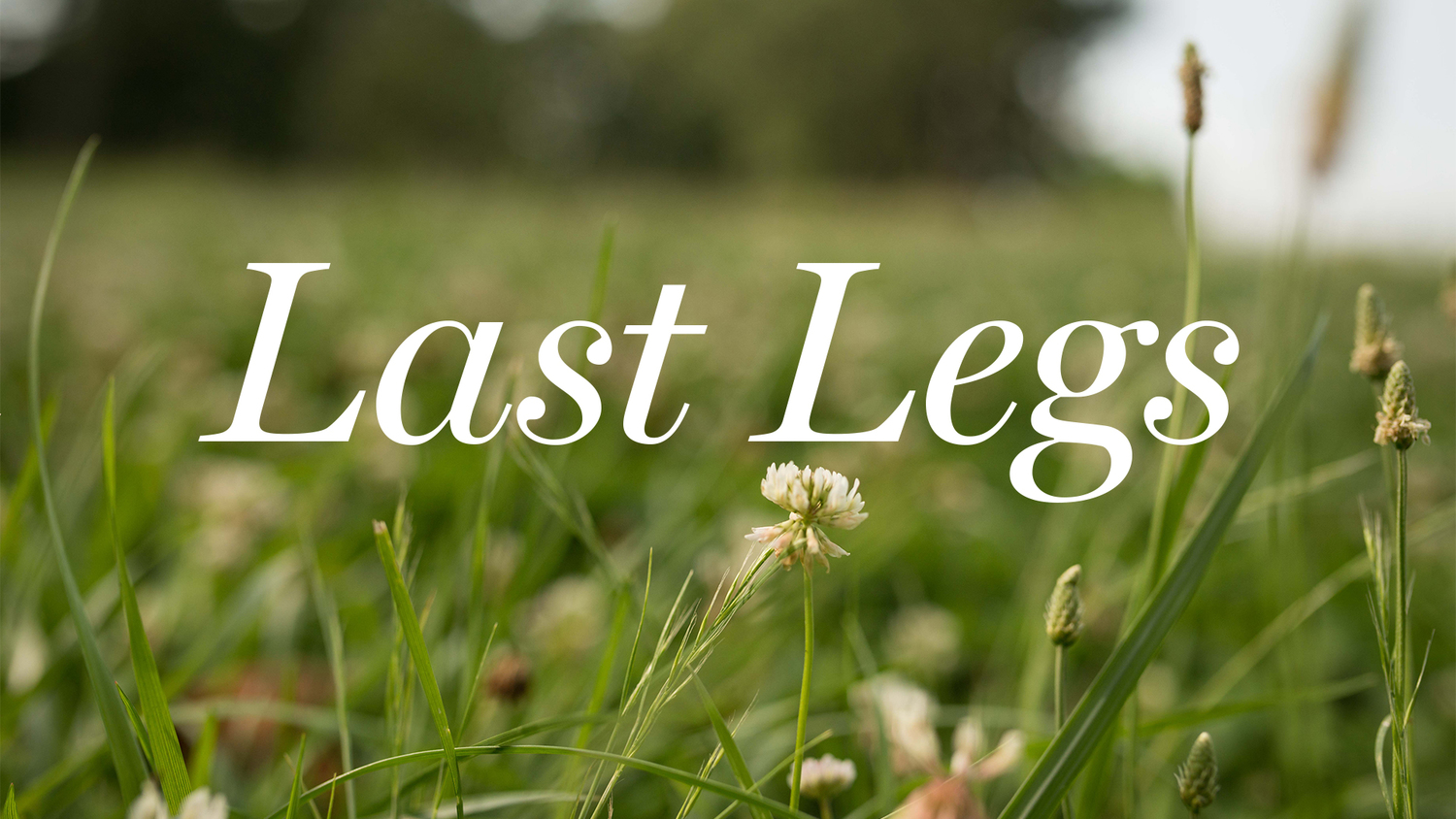 LAST-LEGS.jpg