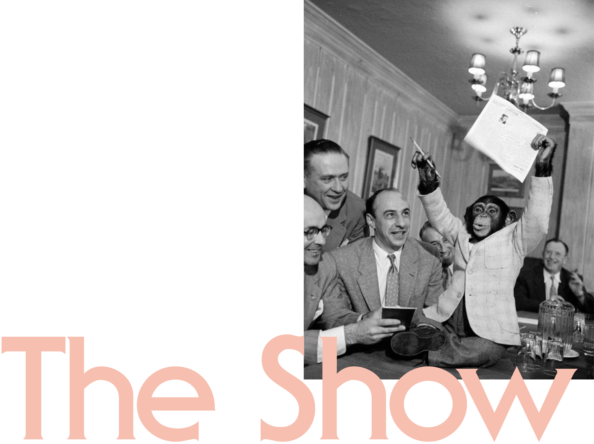 the-show.png