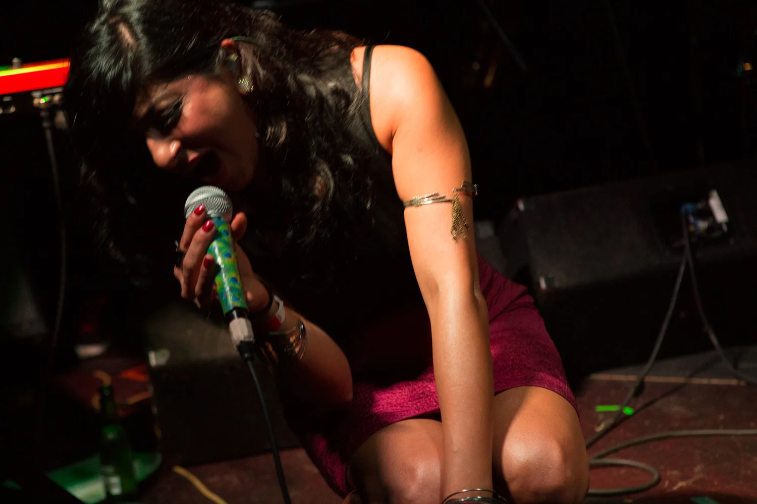 Ruby Vella Ruby Velle and the Soulphonics — THE BITTER SOUTHERNER