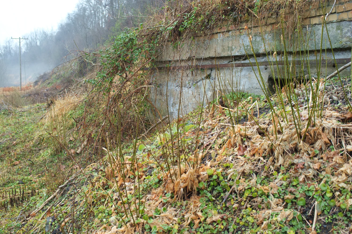 33 - Old Mine Ventilation Fans Monongah Marion County WV RM.jpg