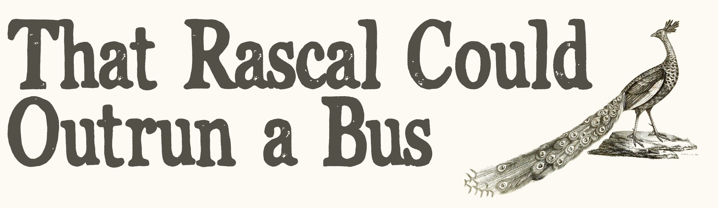 peacock-titles5.png