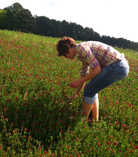 Roadside Flower Picking — THE BITTER SOUTHERNER