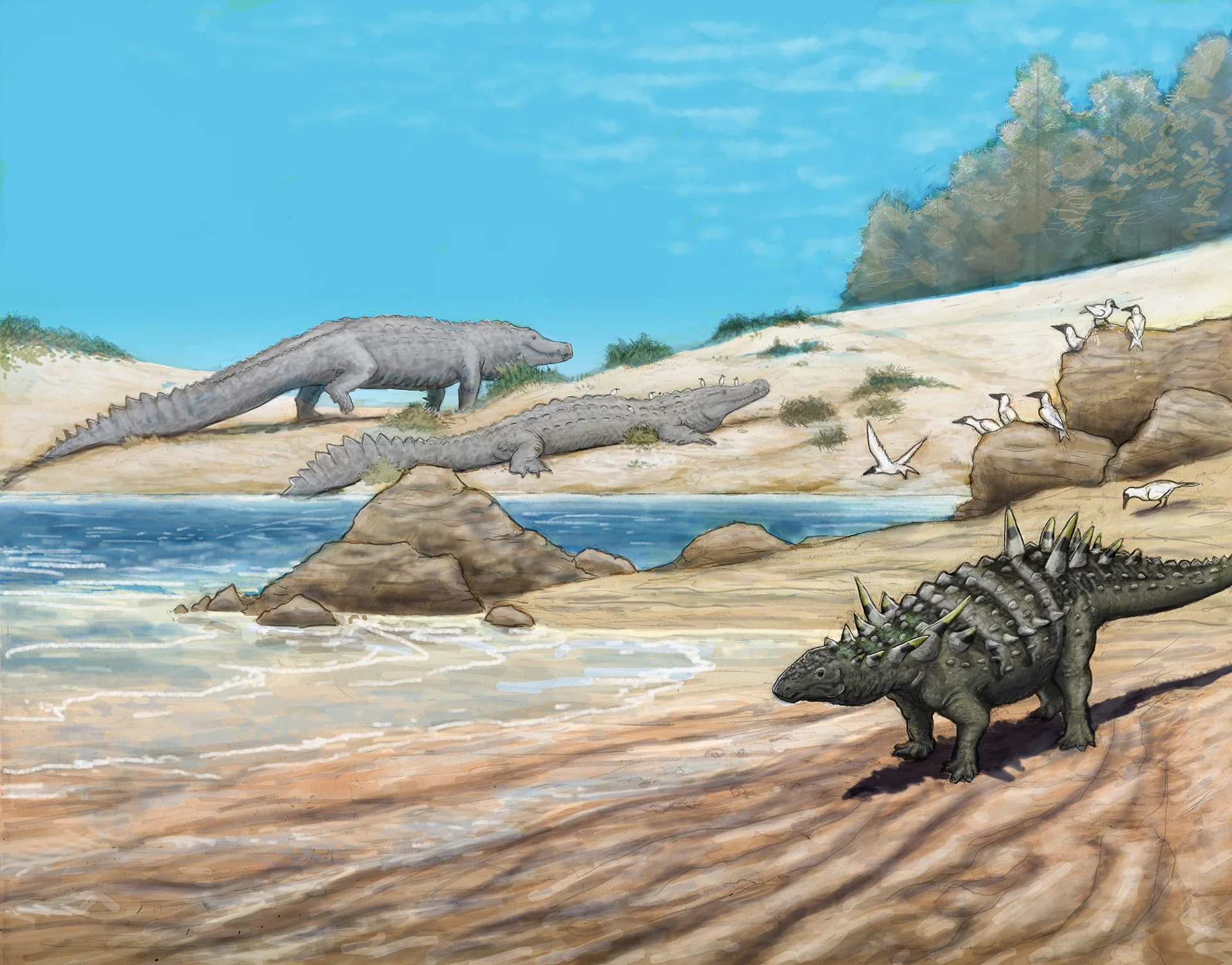 In the early afternoon, a Nodosaur comes down to the shore to scavenge for seafood. Across the inlet lie a pair of massive Deinosuchus. Bold Icthyornis--toothed birds--squabble on the rocks.