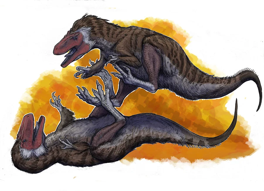 A pair of Appalachiosaurus scrap over territory. There’s been debate in paleontological circles over whether these primitive tyrants had three fingers or two.