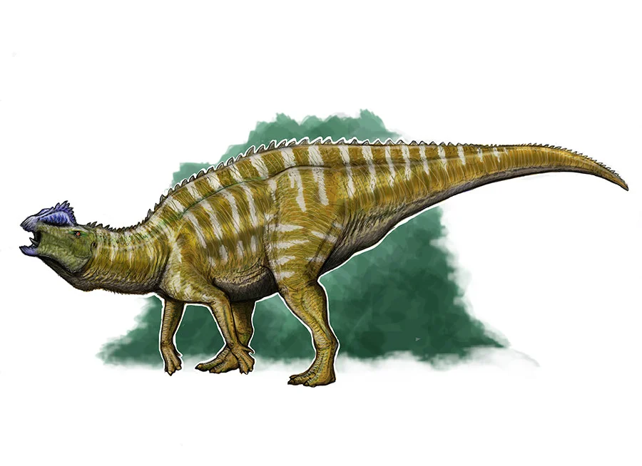 Hypsibema is one of the largest known hadrosaurs from Appalachia, and likely one of the loudest.