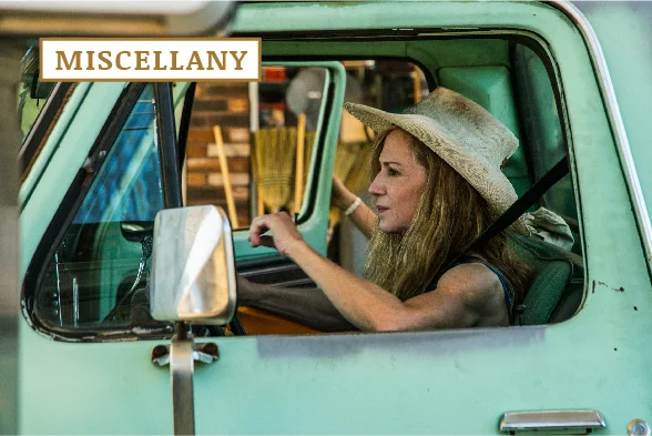 Katherine Dieckmann's Strange Southern Weather