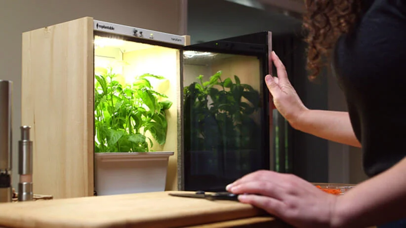 a nanofarm at replantable