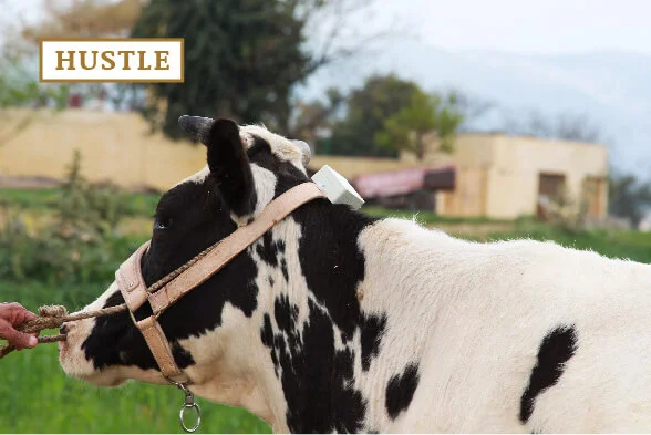 Southern Startups Pioneer Wearables Beyond Exercise