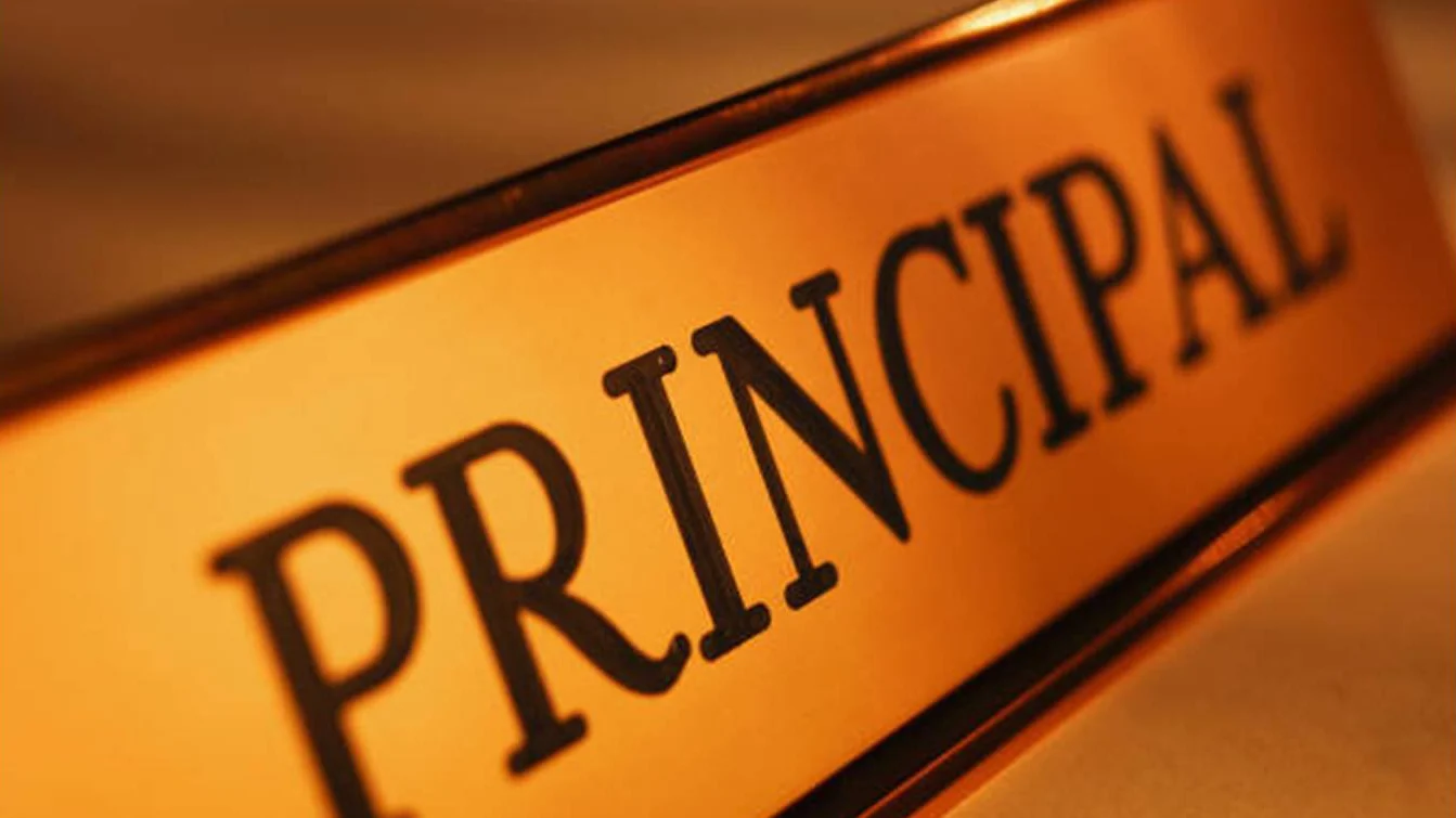 principal-image.jpg