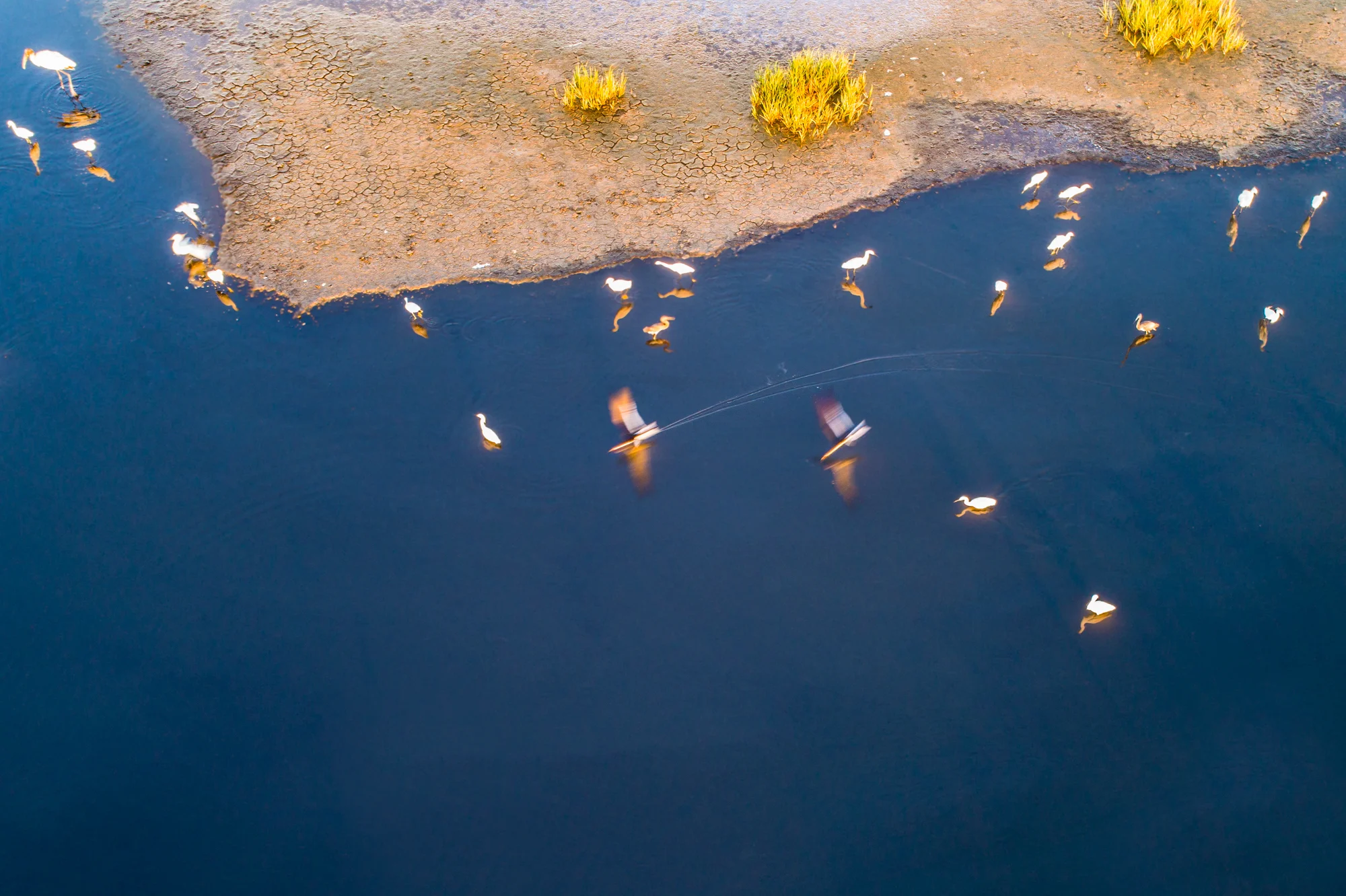 DJI_0555-Edit.jpg