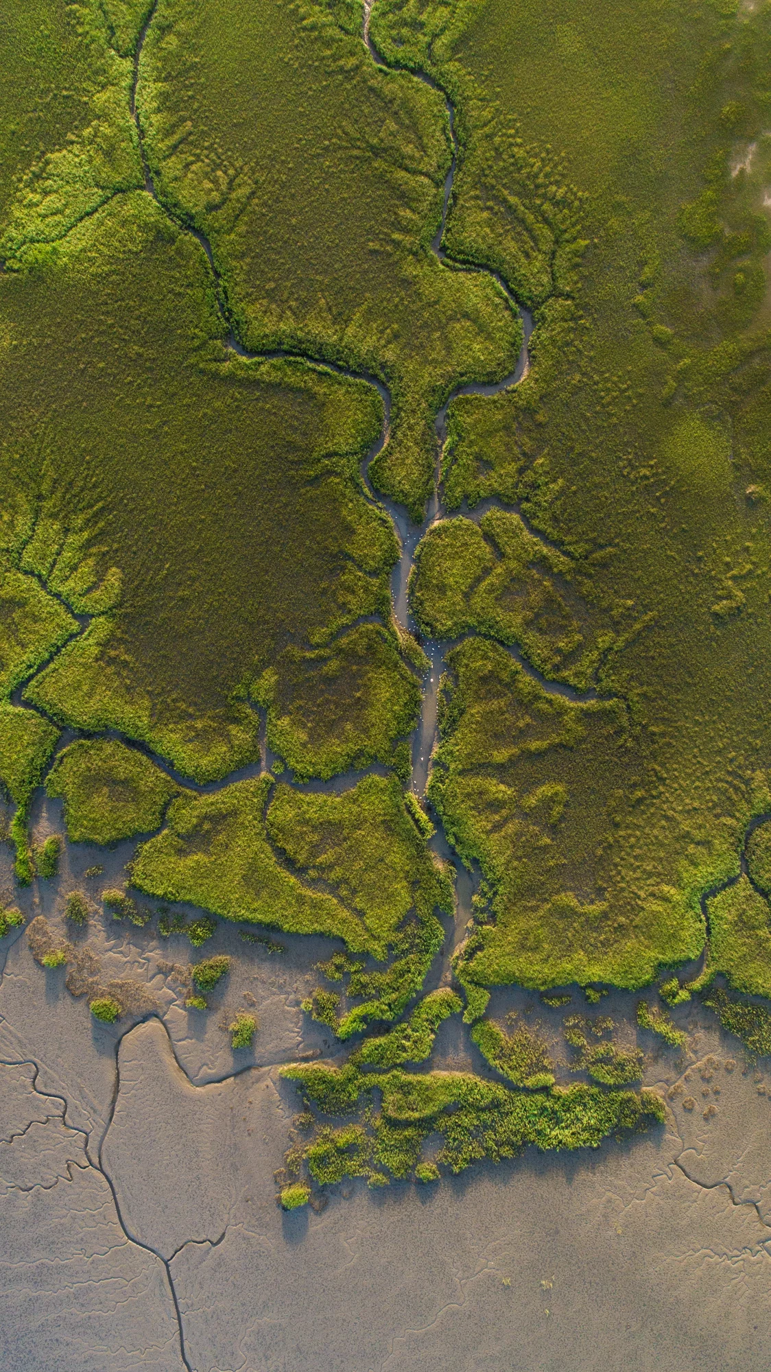 DJI_0228.jpg