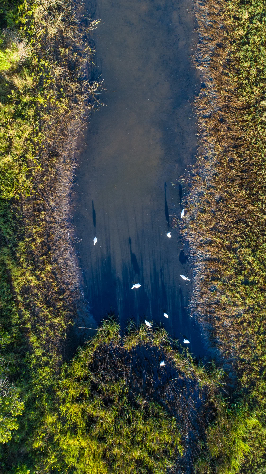 DJI_0273.jpg