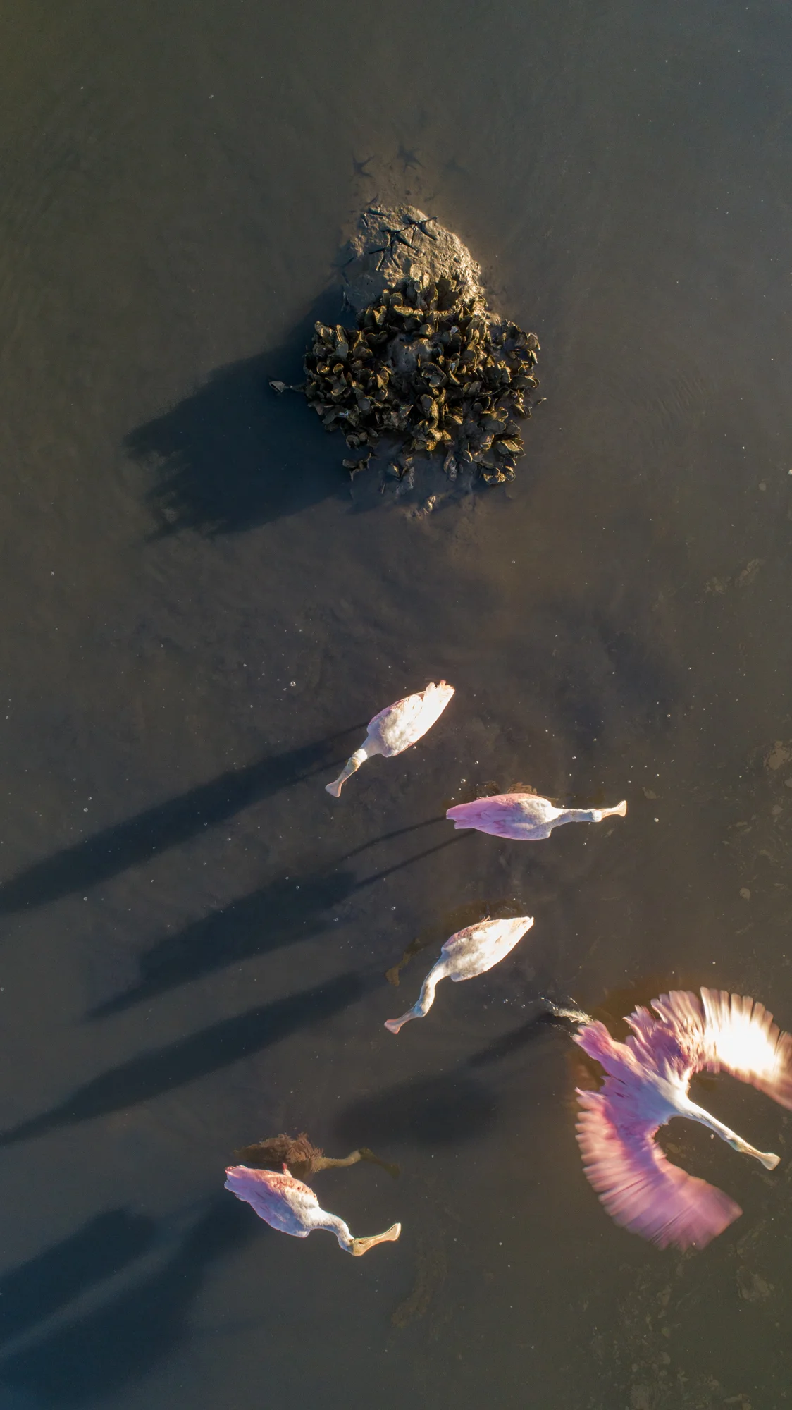 DJI_0210.jpg