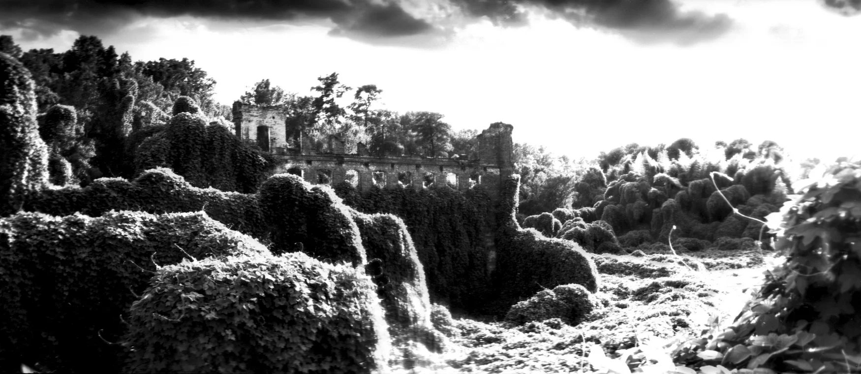 Joshua Gibson - landscape.jpg