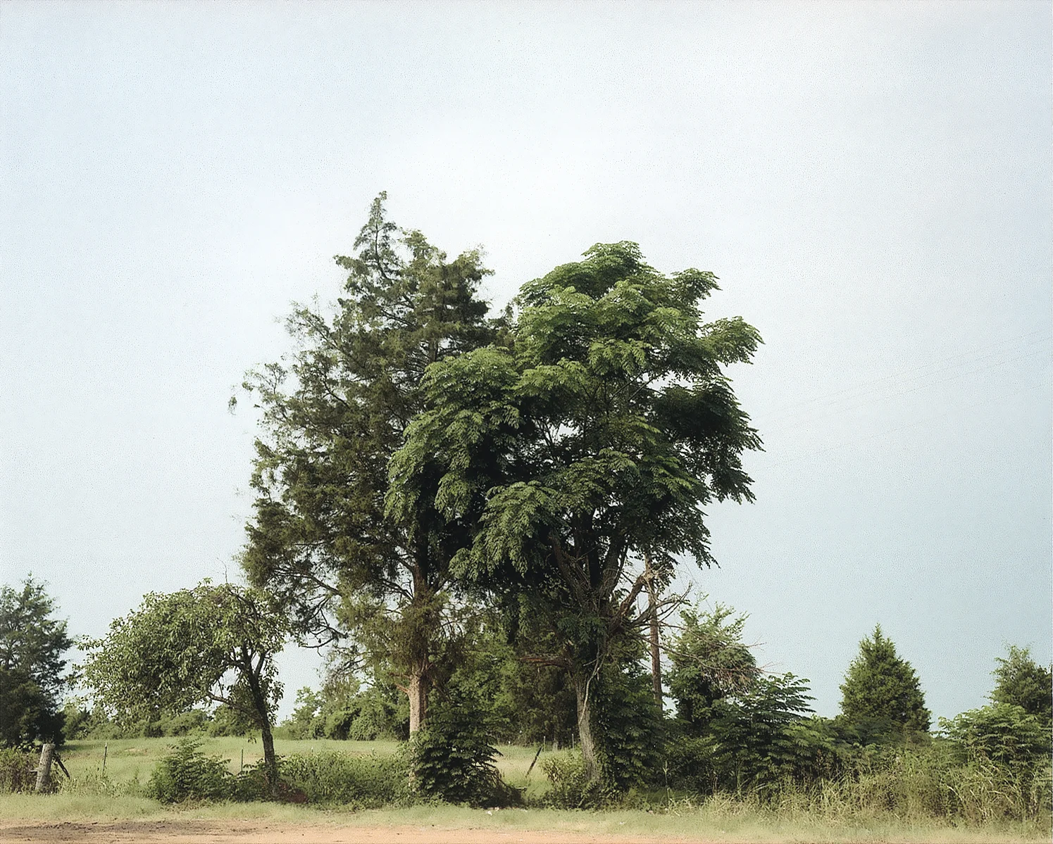 WC.S.635.1_10.jpg