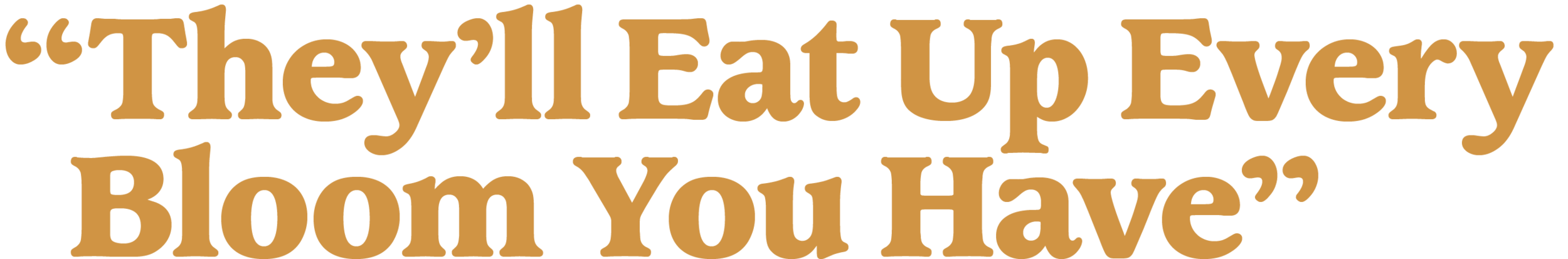 subs-4.png