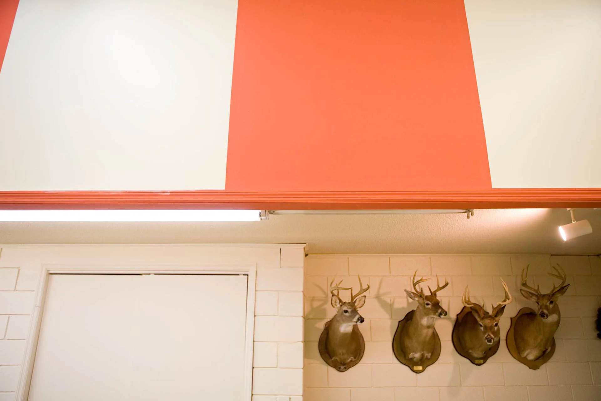 Why I Don’t Hunt Anymore