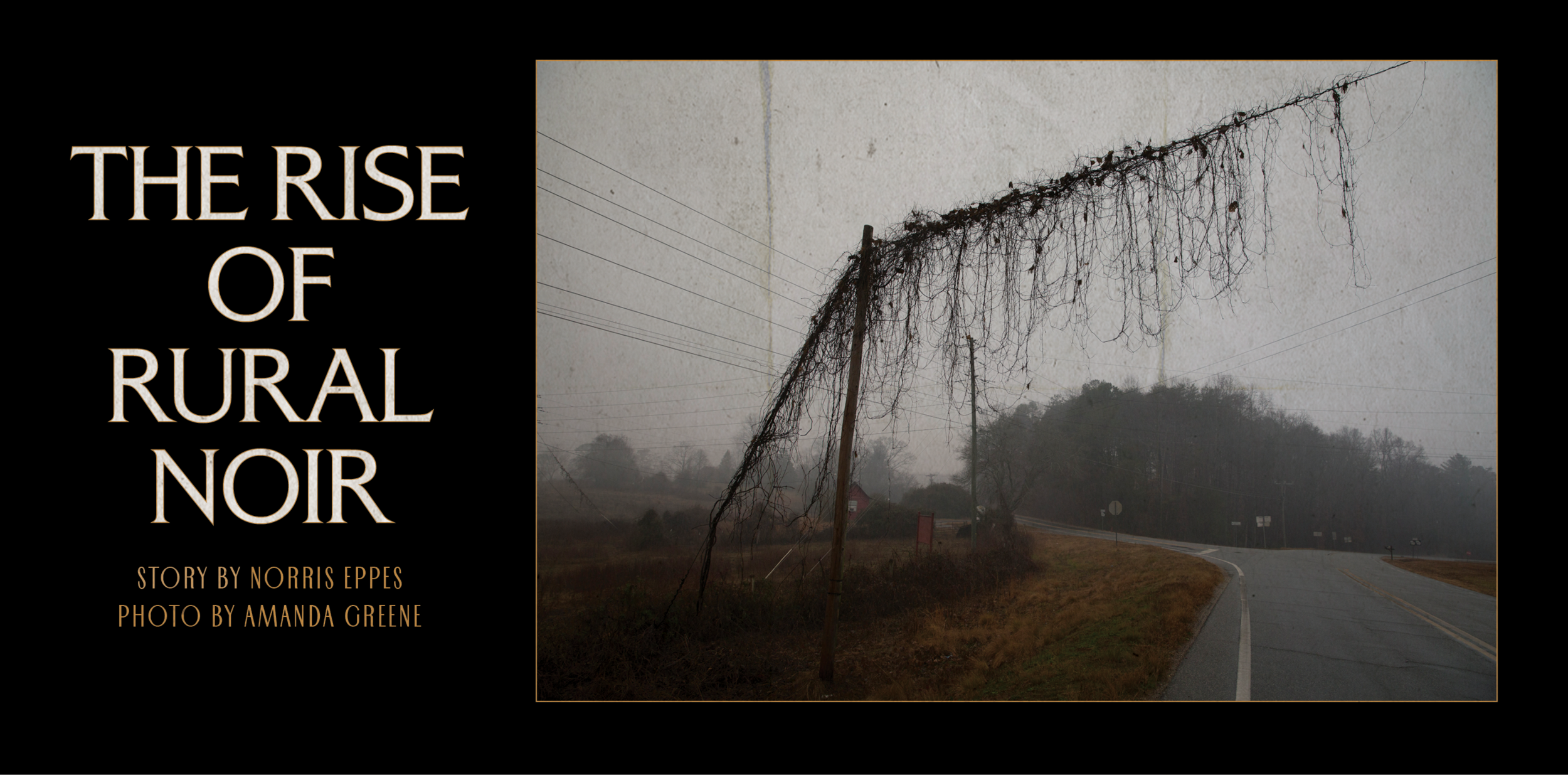 rural-noir-3.png