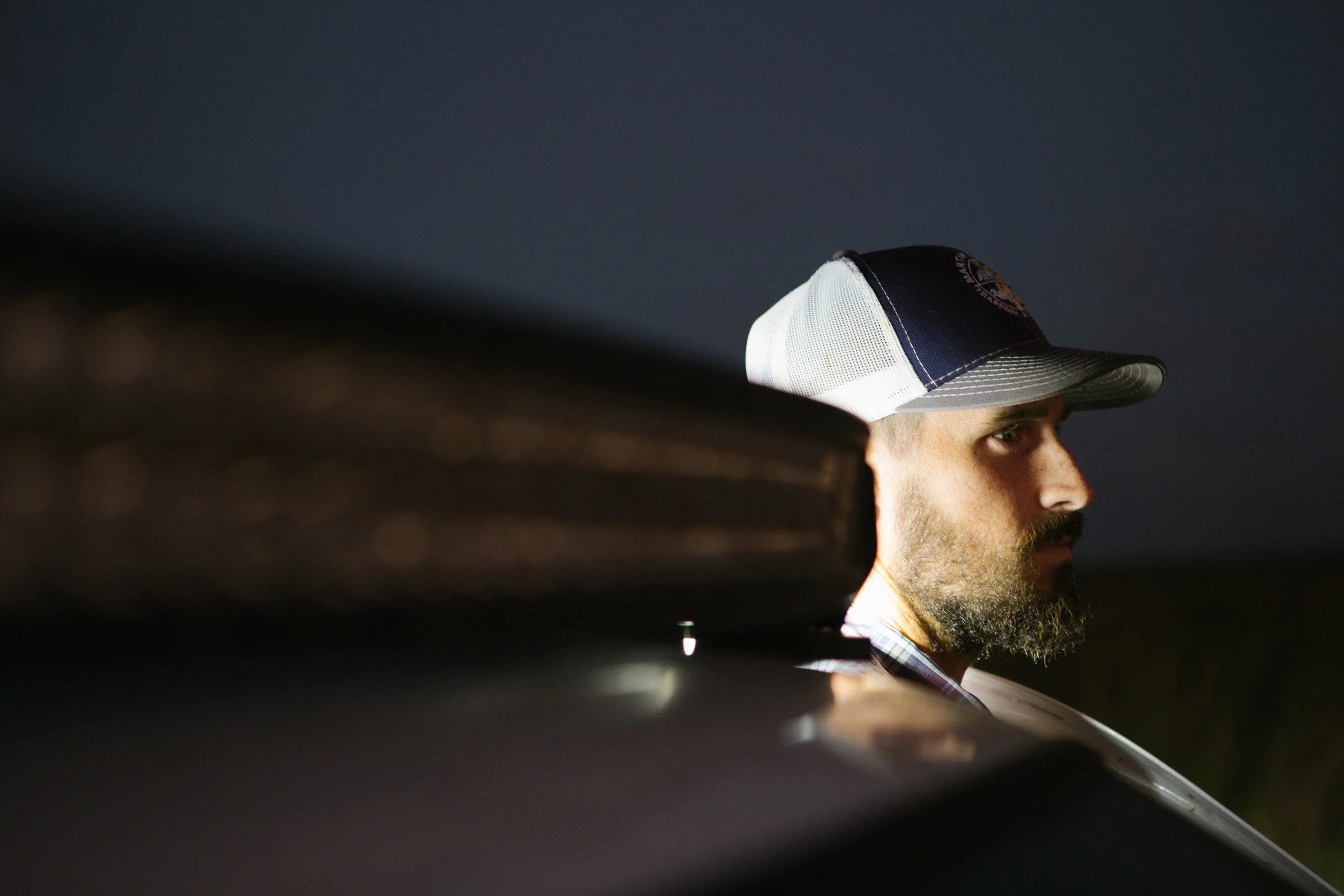 Pythons of the Everglades — THE BITTER SOUTHERNER