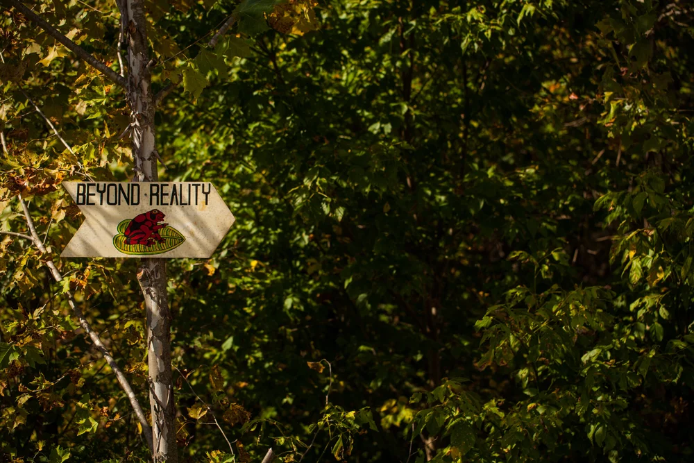 Work of the Quiet Mountains — THE BITTER SOUTHERNER