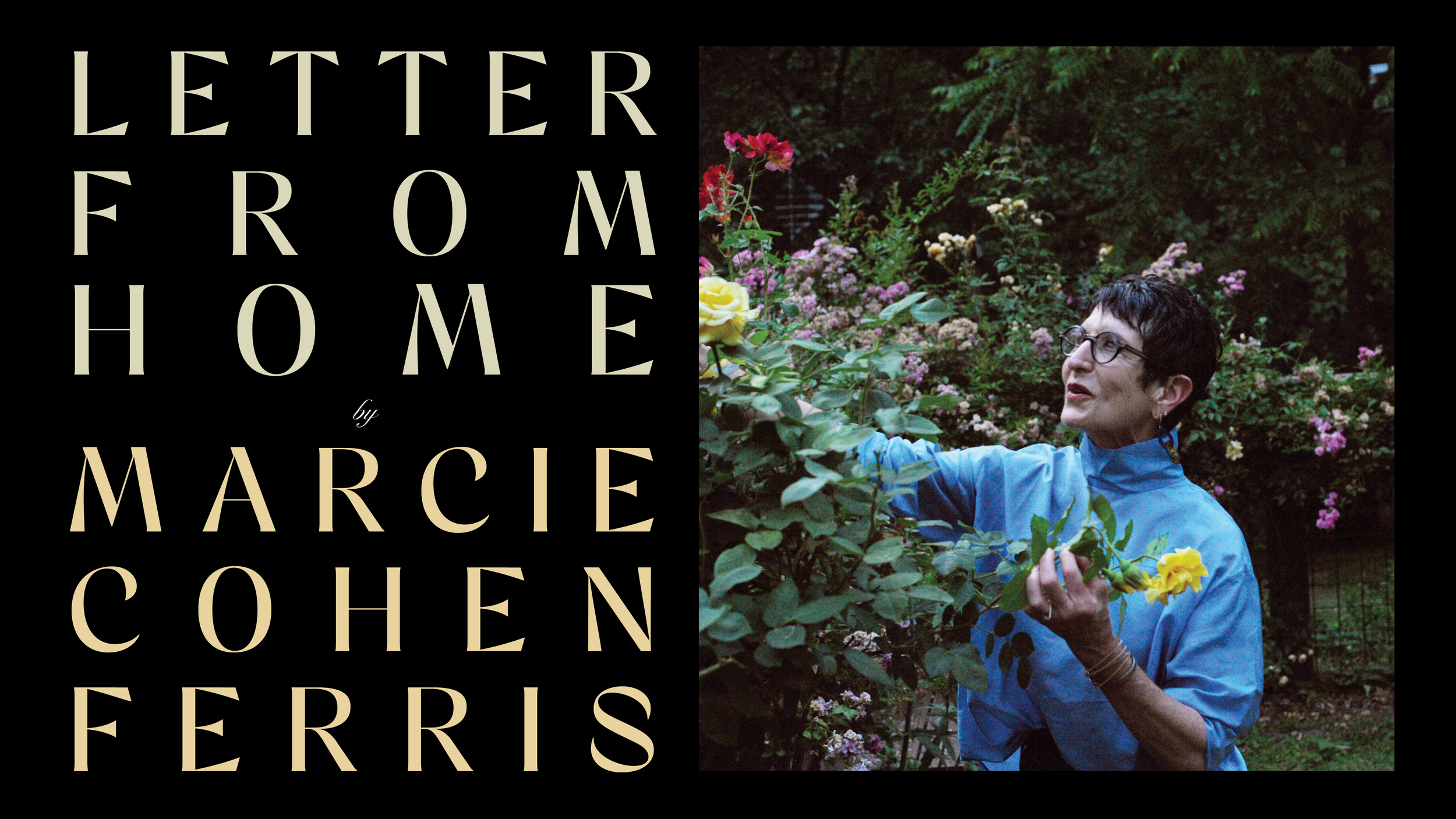 marcie-lfh-banner-.png