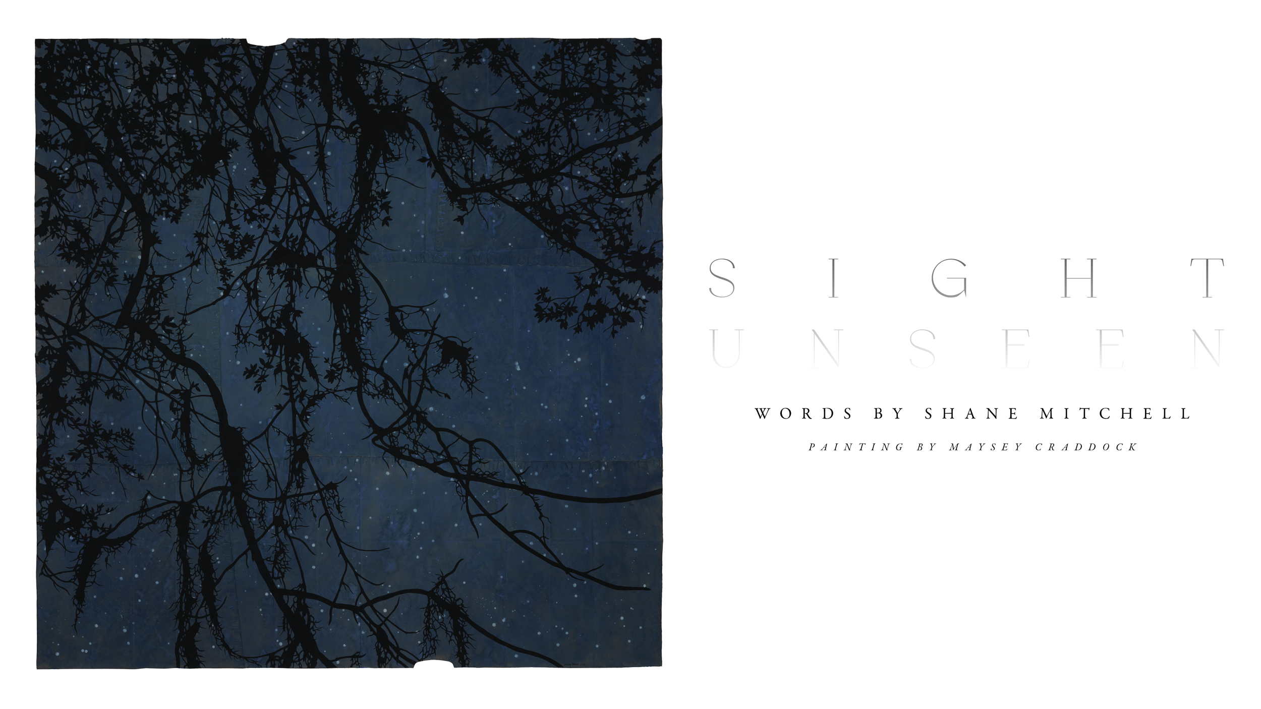 sight-unseen-banner.png