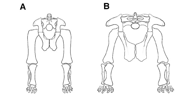 splayed_sauropods.jpg