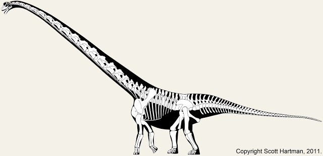 mamenchisaurus.jpg
