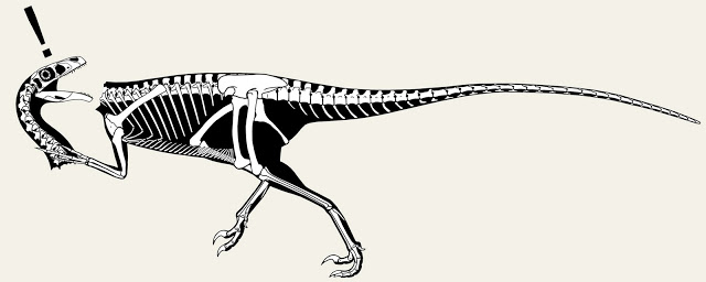 ichabod_skeletal.jpg