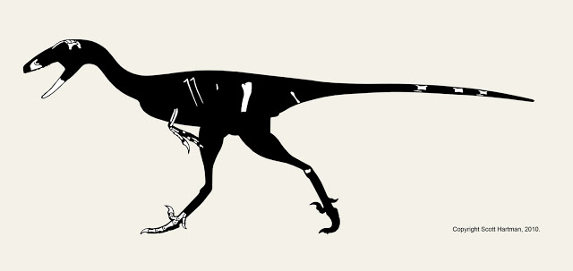 Stenonychosaurus+rigorous4blog.jpg